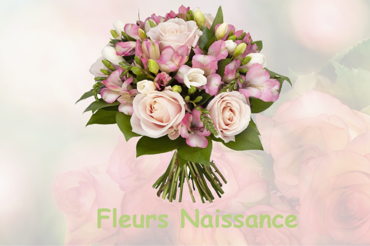 fleurs naissance VANNES-SUR-COSSON