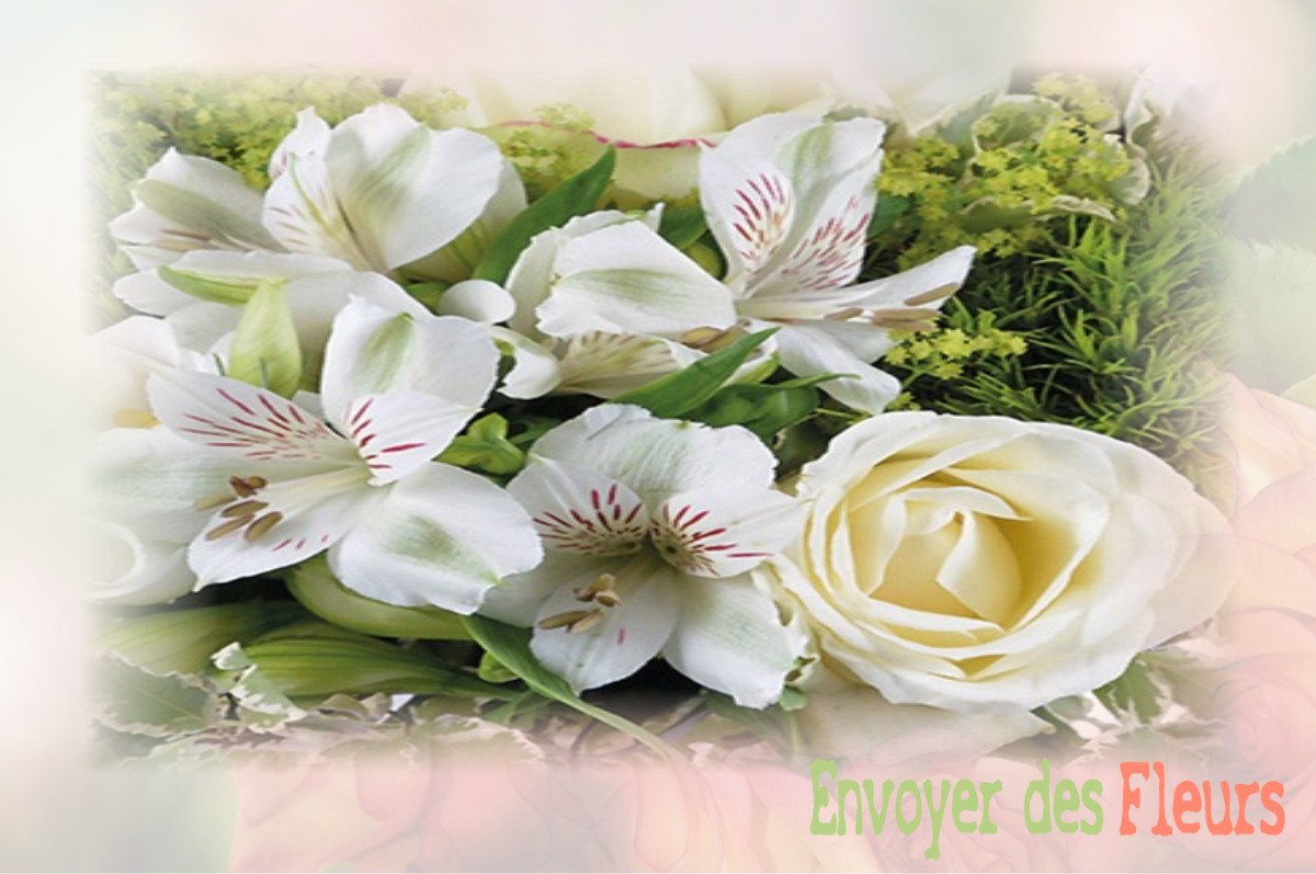 envoyer des fleurs à à VANNES-SUR-COSSON